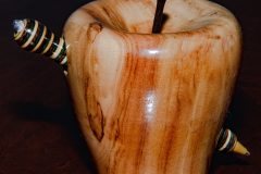 6-Apple-and-Worm-2019